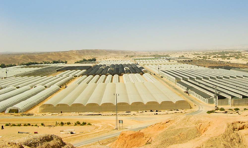 Plantação em estufas na cidade agrícola de Ein Yahav, na parte sul de Israel. Foto: Wikipedia