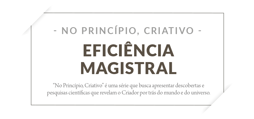 Eficiência Magistral