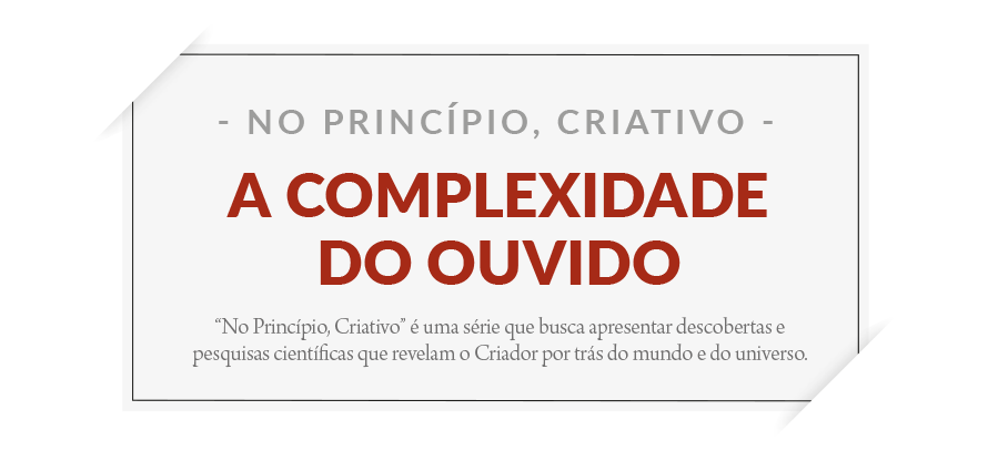 A complexidade do ouvido